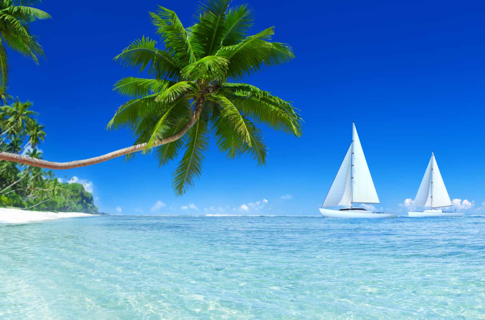 Tropical island